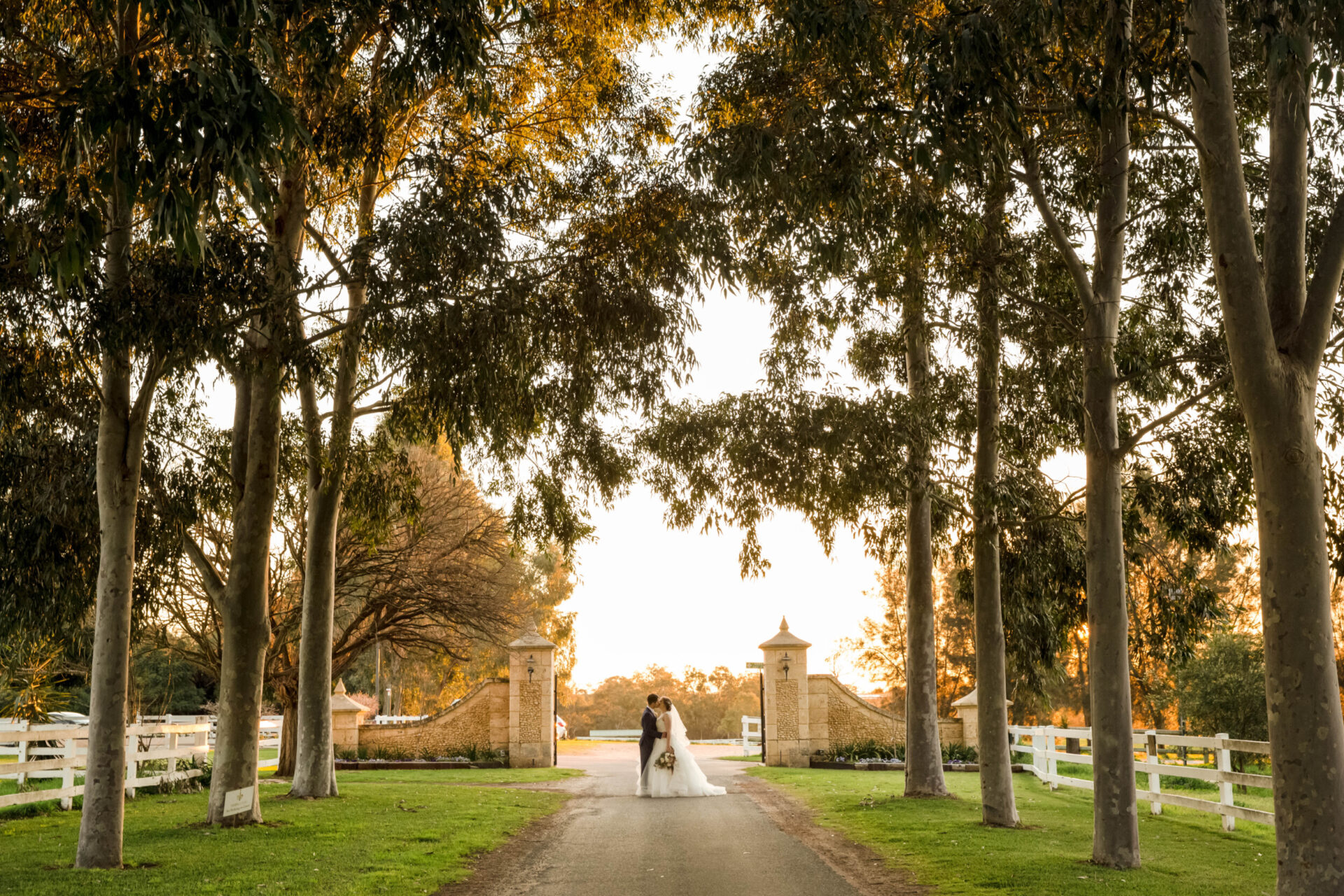 Jacaranda drive at Brookleigh Estate